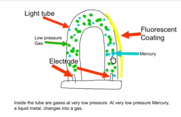 How a fluorescent light bulb works